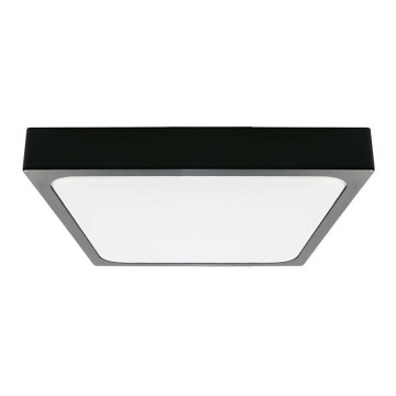 LED Bathroom ceiling light LED/18W/230V 6500K IP44 black