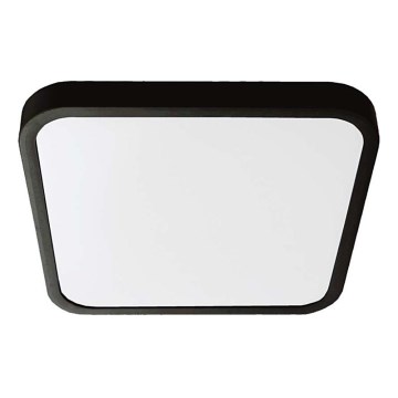 LED Bathroom ceiling light LED/18W/230V 6500K IP44 black