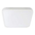 LED Bathroom ceiling light LED/18W/230V 6500K IP44 white