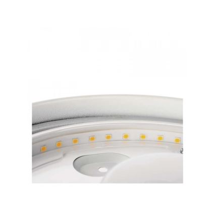 LED Bathroom ceiling light LED/18W/230V IP44