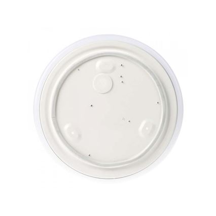 LED Bathroom ceiling light LED/18W/230V IP44
