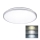 LED Bathroom ceiling light LED/24W/230V 3000/4000/6500K IP54
