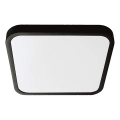 LED Bathroom ceiling light LED/24W/230V 4000K IP44 29,5x29,5 cm black