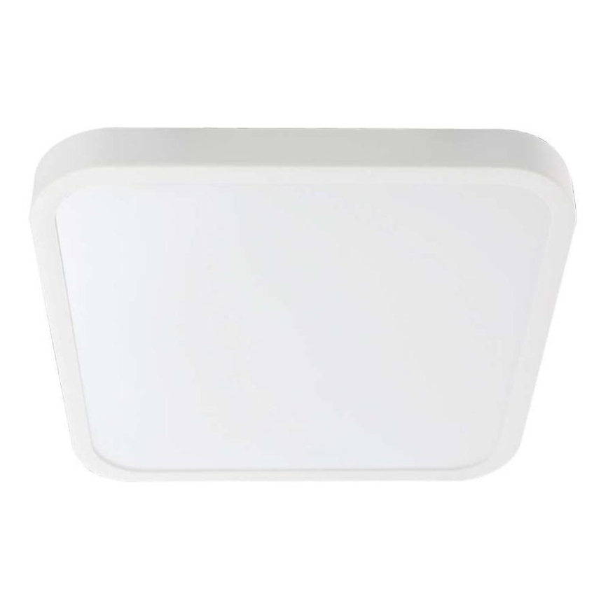 LED Bathroom ceiling light LED/24W/230V 4000K IP44 white