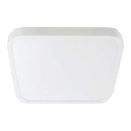 LED Bathroom ceiling light LED/24W/230V 6500K IP44 29,5x29,5 cm white