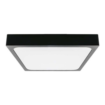 LED Bathroom ceiling light LED/24W/230V 6500K IP44 black