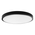 LED Bathroom ceiling light LED/24W/230V 6500K IP44 d. 29,5 cm black