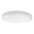 LED Bathroom ceiling light LED/24W/230V 6500K IP44 white