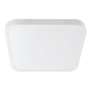 LED Bathroom ceiling light LED/24W/230V 6500K IP44 white