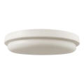 LED Bathroom ceiling light LED/24W/230V 6500K IP54 d. 24 cm