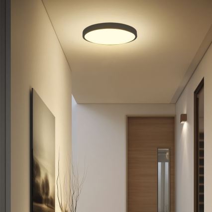 LED Bathroom ceiling light SAMSUNG CHIP LED/24W/230V IP44 6500K d. 29 cm black