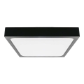 LED Bathroom ceiling light LED/30W/230V 3000K IP44 black