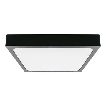 LED Bathroom ceiling light LED/30W/230V 3000K IP44 black