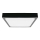 LED Bathroom ceiling light LED/30W/230V 3000K IP44 black