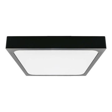 LED Bathroom ceiling light LED/30W/230V 4000K IP44 black