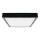 LED Bathroom ceiling light LED/30W/230V 4000K IP44 black