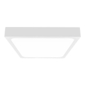 LED Bathroom ceiling light LED/30W/230V 4000K IP44 white