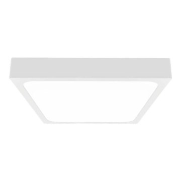 LED Bathroom ceiling light LED/30W/230V 4000K IP44 white