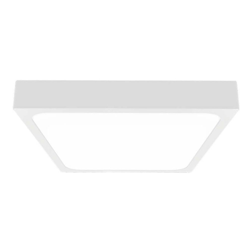 LED Bathroom ceiling light LED/30W/230V 4000K IP44 white