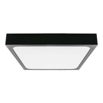 LED Bathroom ceiling light LED/30W/230V 6500K IP44 black