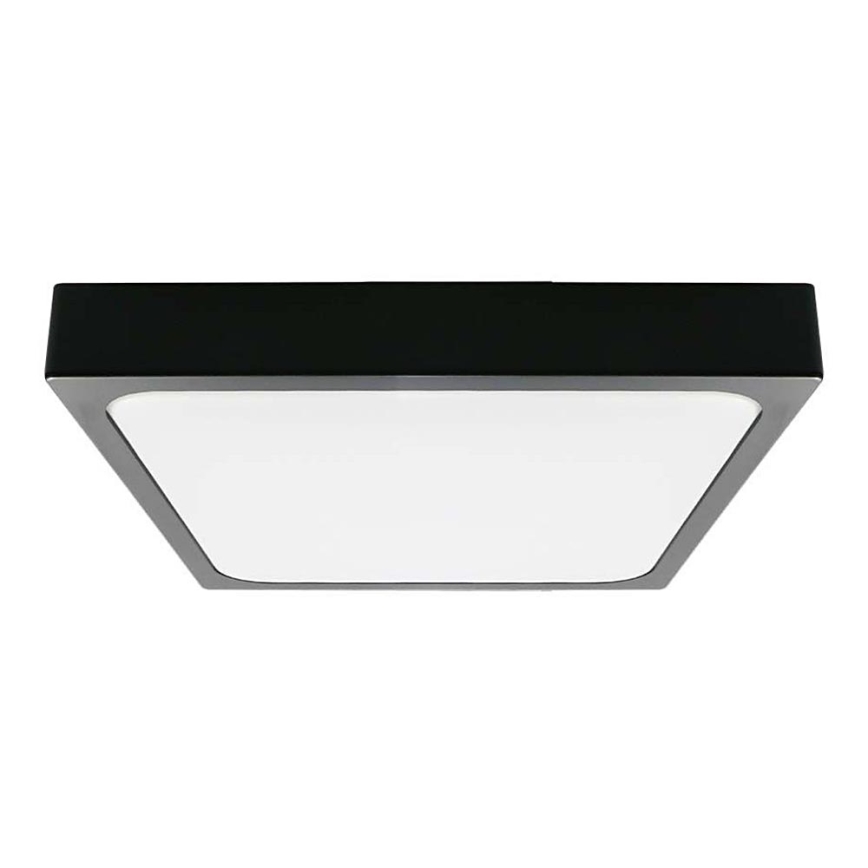 LED Bathroom ceiling light LED/30W/230V 6500K IP44 black
