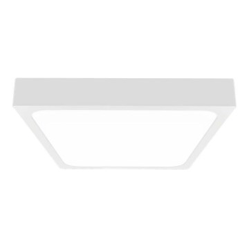 LED Bathroom ceiling light LED/30W/230V 6500K IP44 white