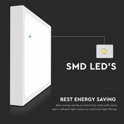 LED Bathroom ceiling light LED/30W/230V 6500K IP44 white