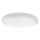 LED Bathroom ceiling light LED/36W/230V 6500K IP44 white