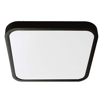 LED Bathroom ceiling light LED/48W/230V 3000K IP44 42x42 cm black