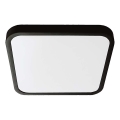 LED Bathroom ceiling light LED/48W/230V 3000K IP44 black
