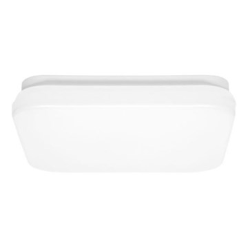 LED Bathroom ceiling light LUKY LED/12W/230V 4000K 24x24 cm IP44