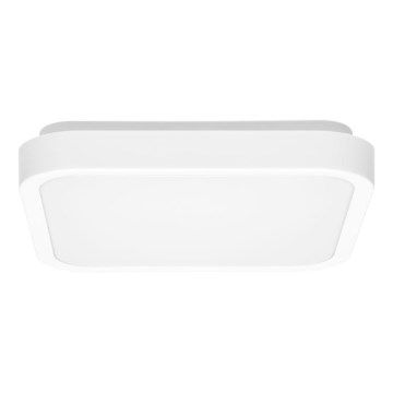 LED Bathroom ceiling light LUKY LED/12W/230V 4000K 25x25 cm IP44 white