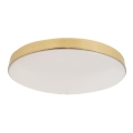 LED Bathroom ceiling light MAYA LED/15W/230V IP44 gold