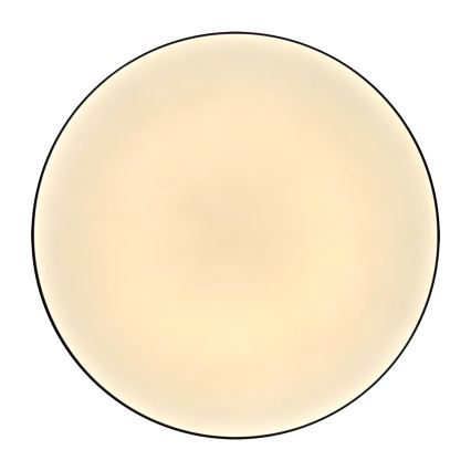 LED Bathroom ceiling light MOON LED/18W/230V black IP44