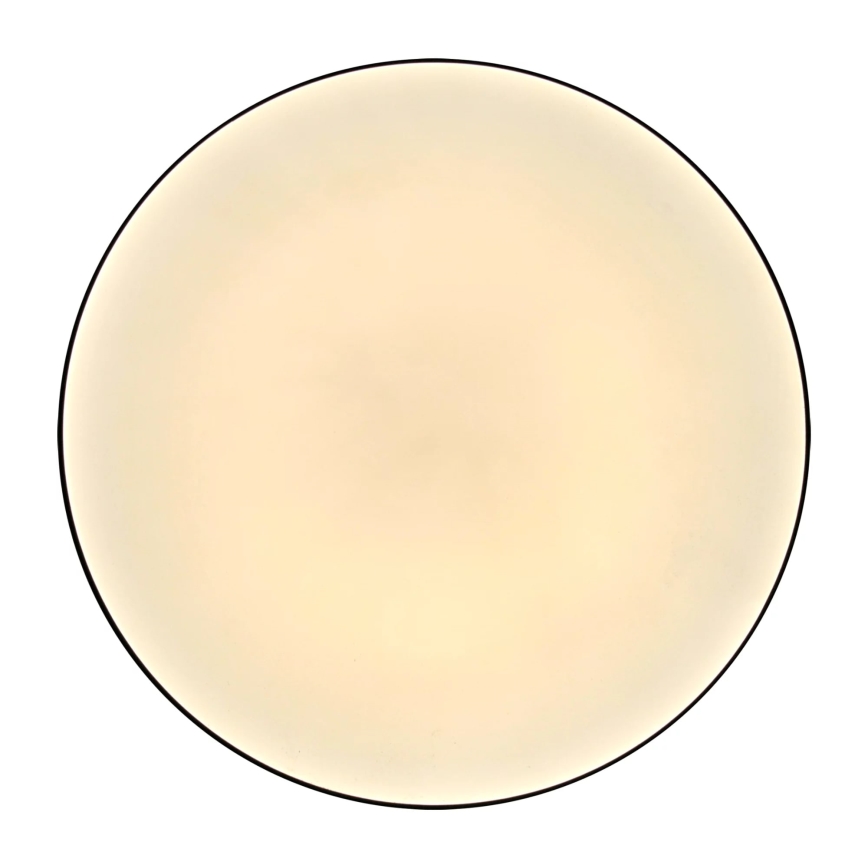 LED Bathroom ceiling light MOON LED/18W/230V black IP44