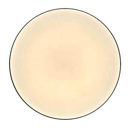 LED Bathroom ceiling light MOON LED/18W/230V shiny chrome IP44
