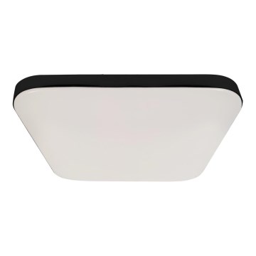 LED Bathroom ceiling light NEMO LED/17W/230V IP44 black