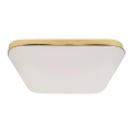 LED Bathroom ceiling light NEMO LED/17W/230V IP44 gold
