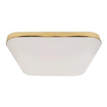 LED Bathroom ceiling light NEMO LED/17W/230V IP44 gold