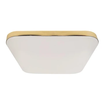 LED Bathroom ceiling light NEMO LED/17W/230V IP44 gold