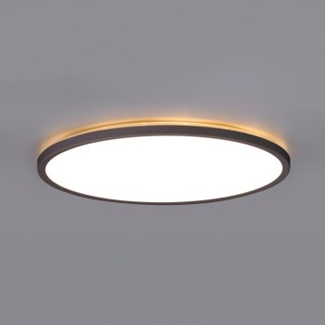 LED Bathroom ceiling light NIVERA LED/12W/230V IP54 3000/4000/6000K d. 22,5 cm black
