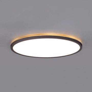 LED Bathroom ceiling light NIVERA LED/24W/230V IP54 3000/4000/6000K d. 30 cm black