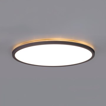 LED Bathroom ceiling light NIVERA LED/32W/230V IP54 3000/4000/6000K d. 42 cm black