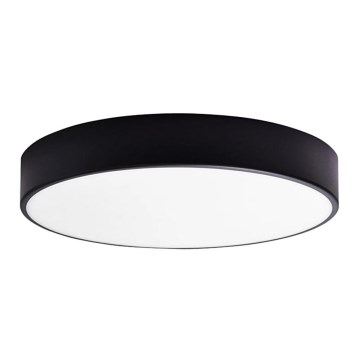 LED Bathroom ceiling light RENE LED/15W/230V IP44 black