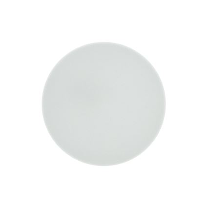 LED Bathroom Ceiling Light RIMA LED/10W/230V Ø22.5 cm IP44 White