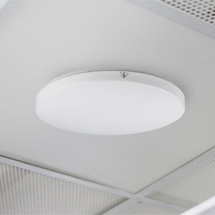 LED bathroom ceiling light SAMSUNG CHIP LED/15W/230V 20cm 3000K IP44