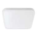 LED Bathroom ceiling light SAMSUNG CHIP LED/18W/230V IP44 3000K 25x25 cm white