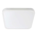 LED Bathroom ceiling light SAMSUNG CHIP LED/18W/230V IP44 3000K 25x25 cm white
