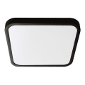 LED Bathroom ceiling light SAMSUNG CHIP LED/18W/230V IP44 6500K 25x25 cm black