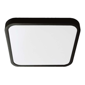 LED Bathroom ceiling light SAMSUNG CHIP LED/18W/230V IP44 6500K 25x25 cm black
